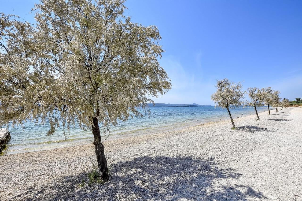 Mobile Home Dandelion Biograd Na Moru Exterior photo