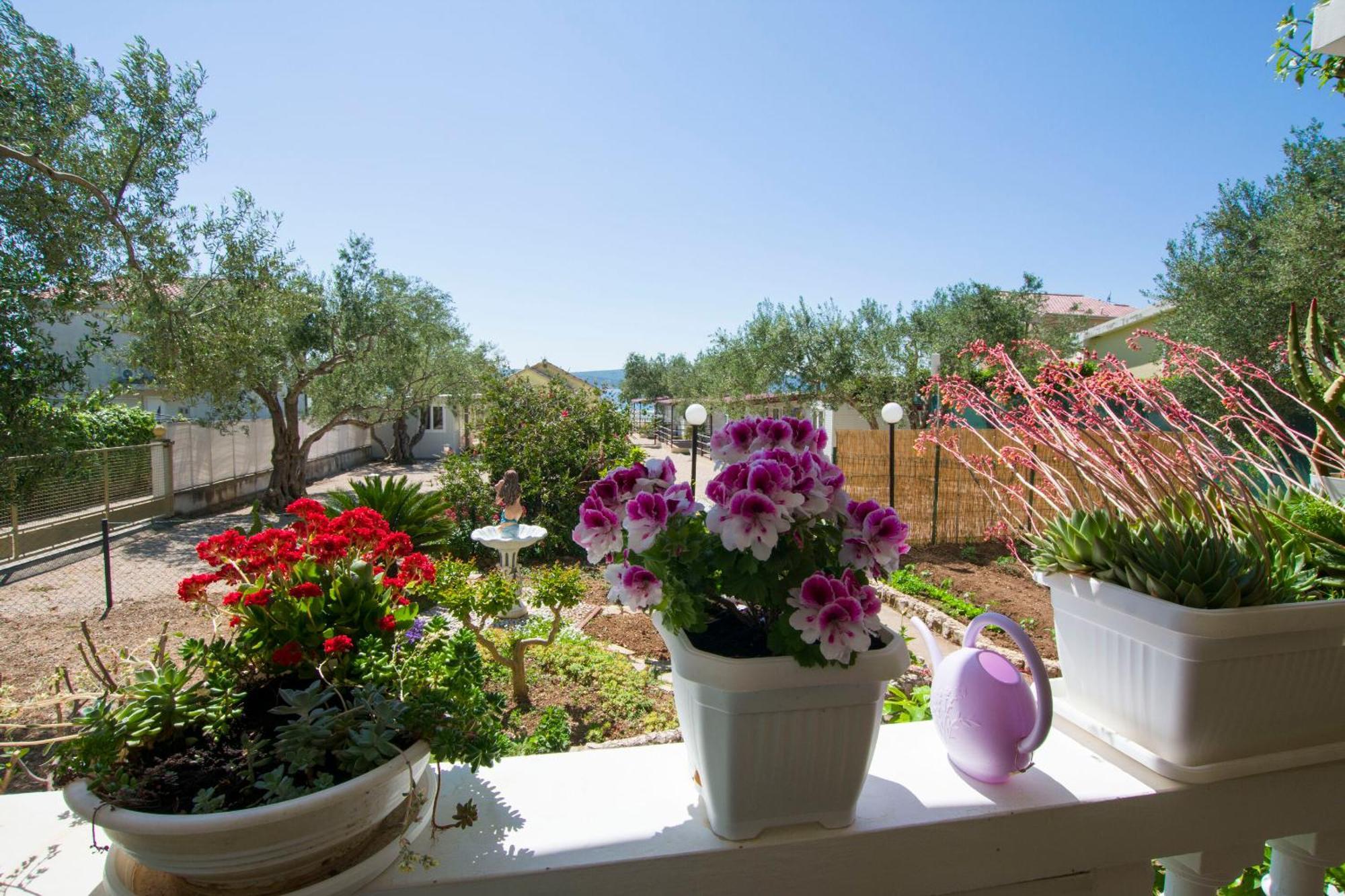 Mobile Home Dandelion Biograd Na Moru Exterior photo
